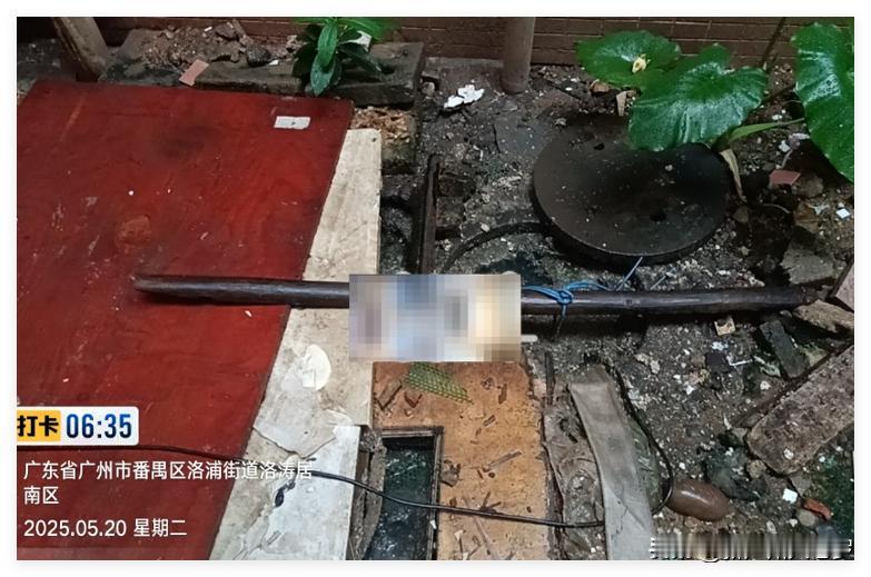 广州有些小区物业，真的不作为！就应该废了他们！作为业主，实在太恼火了！
 
住在
