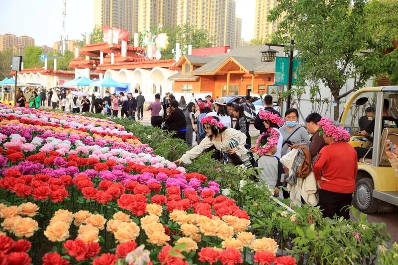 春
春日繁花绽满枝
嫣红姹紫竟芳时
东风独宠桃一朵
诺来牡丹俏国姿
