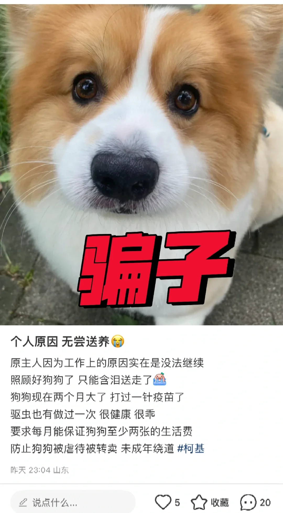 注意‼️注意‼️
