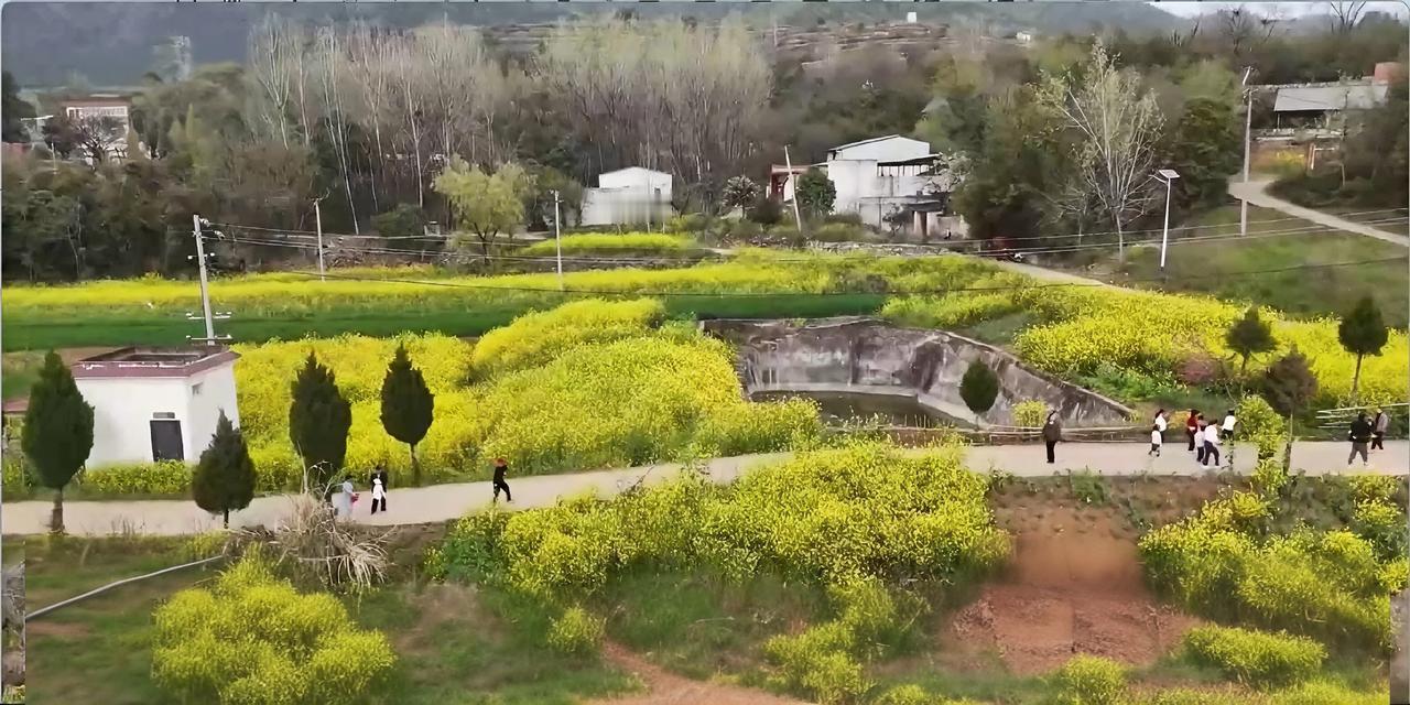 咱老家河南淅川最近火了。一个春天，90万人次游客涌进这个丹江口水库边的小县城，文