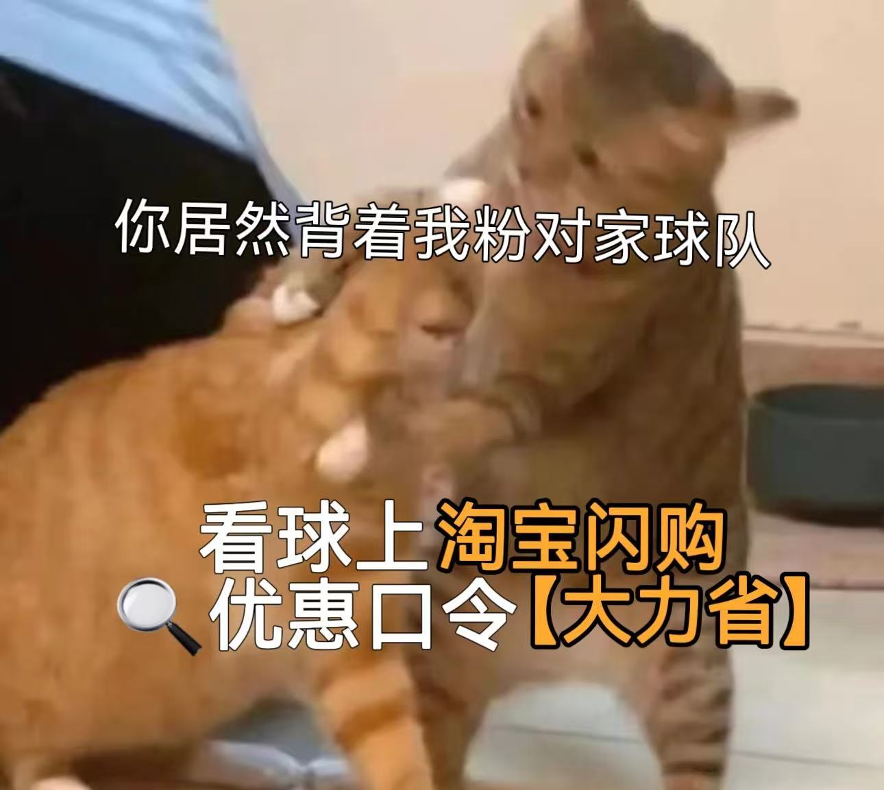 西班牙冠军西班牙vs阿根廷 传奇终局之战落下帷幕，老将的最后一次赛场征程，整场被