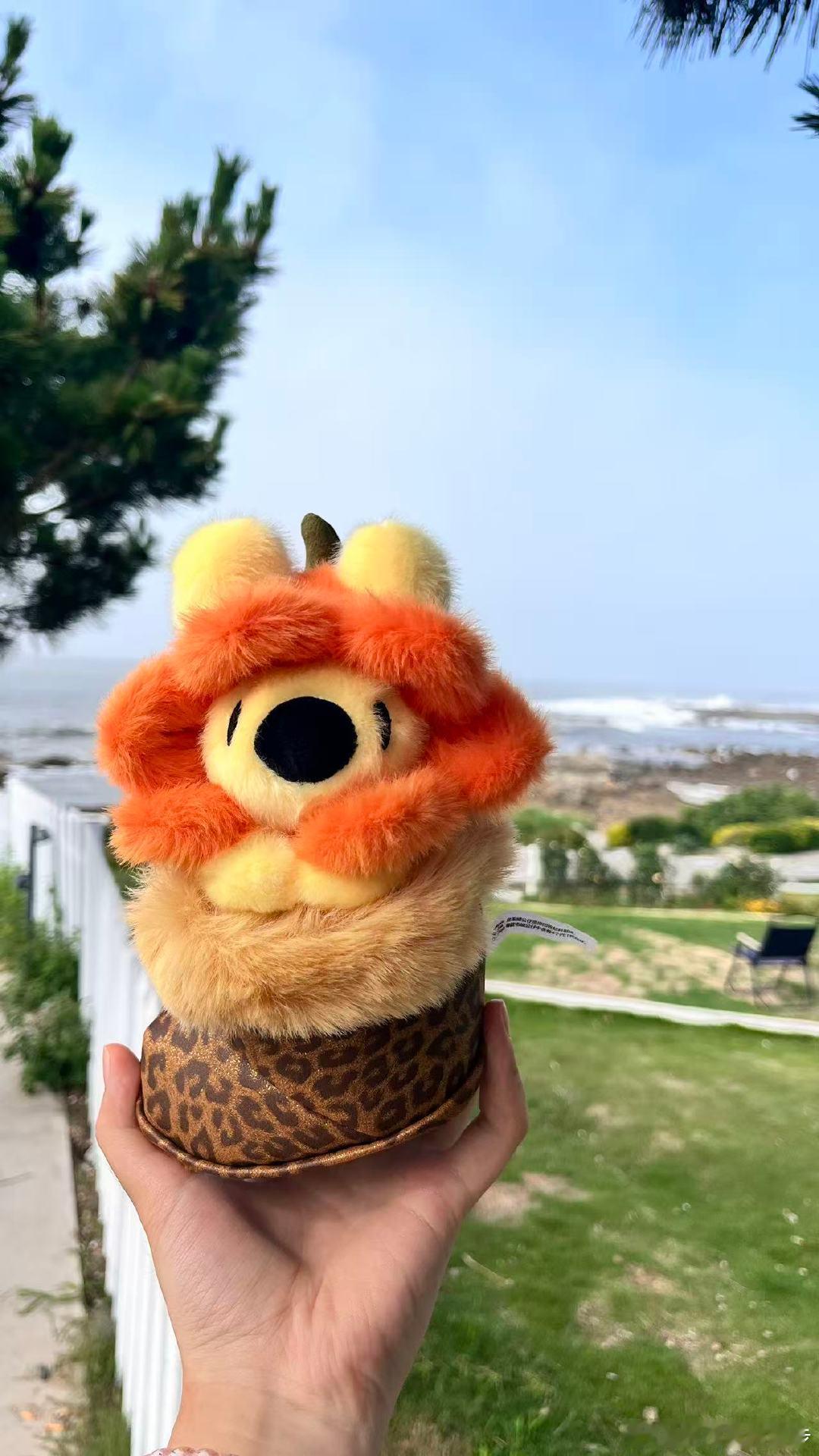 美团会员升舱你的世界杯主场 清晨的阳光洒在海面，也照亮巨幕上的赛事画面，美团会员