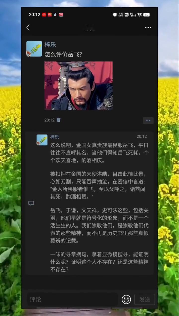 这么说吧，金国女真贵族最畏服岳飞，平日往往不直呼其名，当他们得知岳飞死耗，个个被