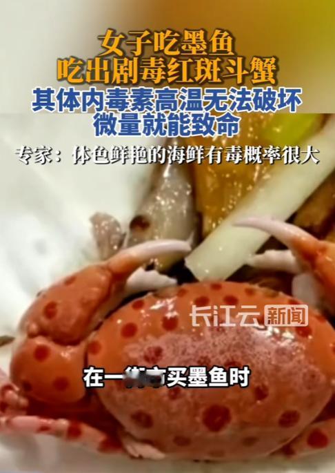 “差点中毒了！”9月9日报道，香港，一老人去街市买墨鱼时，一只不起眼的小螃蟹混入