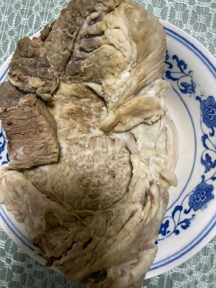 爷爷奶奶把我和牛炖了 