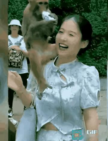 这一个猴子有点好色