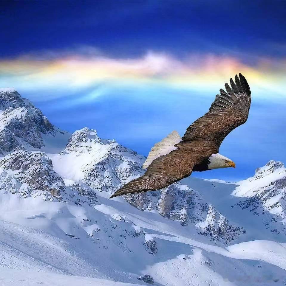 人这一生好不好都要自己走，累不累都要自己受，每个人都有无言的苦，每个人都有无声的