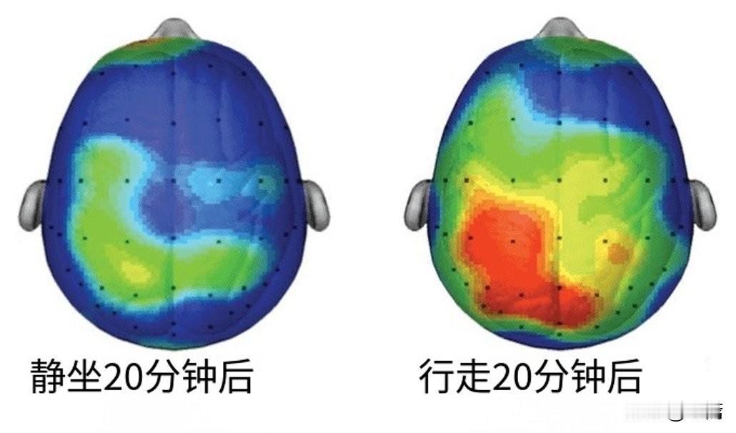 哇哦，当感到无聊且缺乏灵感时，不断行走，直到一天变得有趣。

今天一个人在山体公