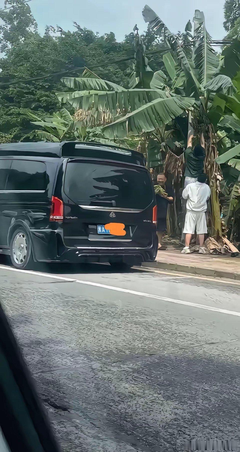 黑龙江人啊，西双版纳的生态植被，真得好好爱护和保护呢。 