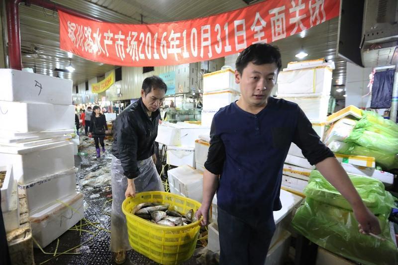 最近水产市场“麻醉鱼”事件闹得沸沸扬扬。9月中旬网友发布的“麻醉鱼”视频引发关注