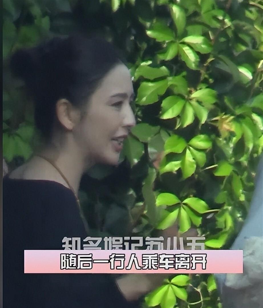 阮巨被拍到与壮硕男子深夜同返住所，佟丽娅同期携母亲会见前公公：陈思诚的 “前任”