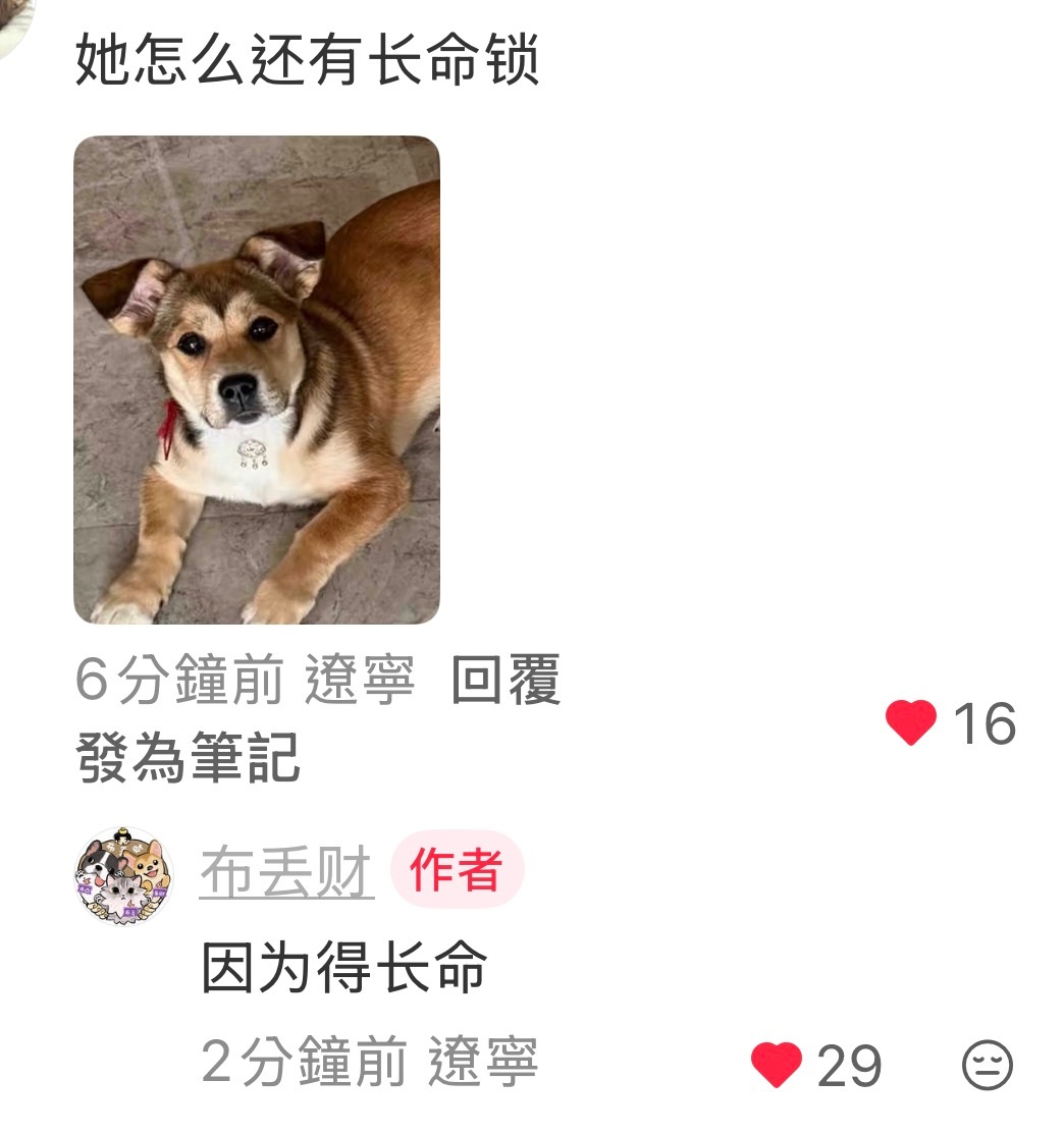 偏爱[音乐] 