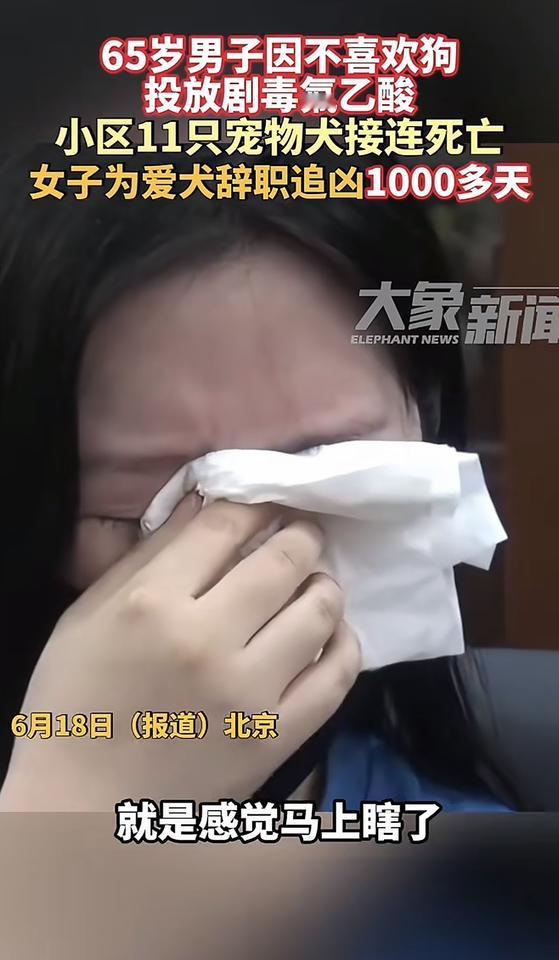 爱犬被毒死后，北京一女子辞职追凶1000多天，坦言：自己很伤心，眼睛快要哭瞎了。
