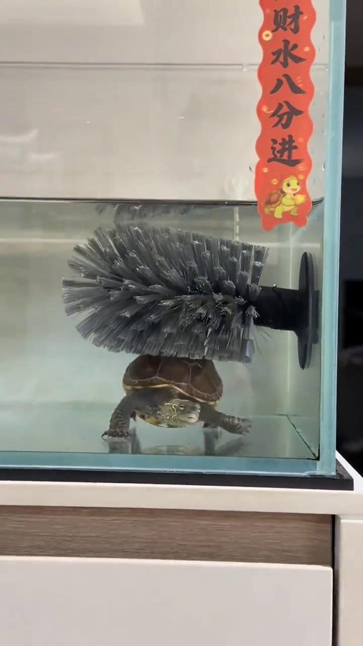 就这个feel倍儿爽，整个冰二爽。