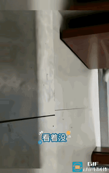 女厕所偷窥被抓现行的大爷，这回要社死了
邻居被偷窥 女生遭偷拍 女同事偷拍 偷窥