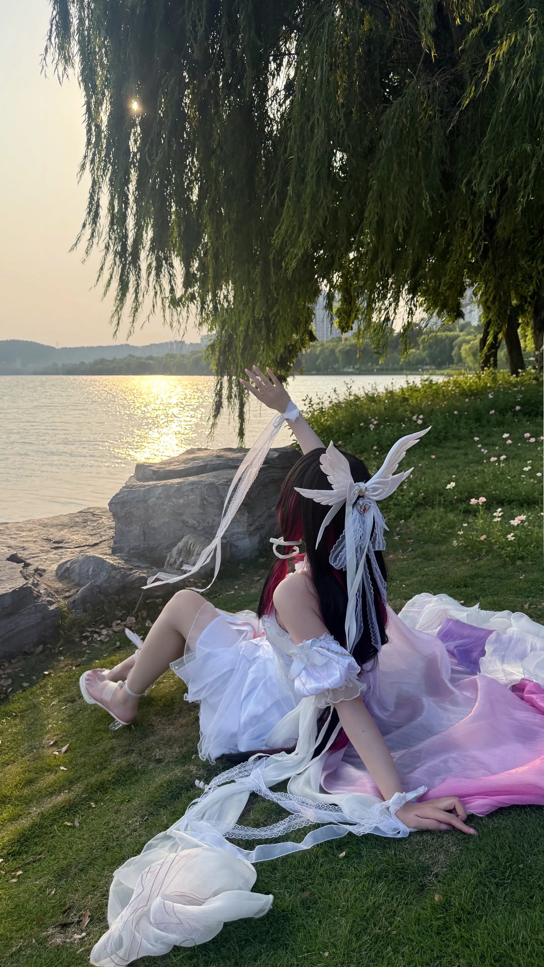 小鸽子~