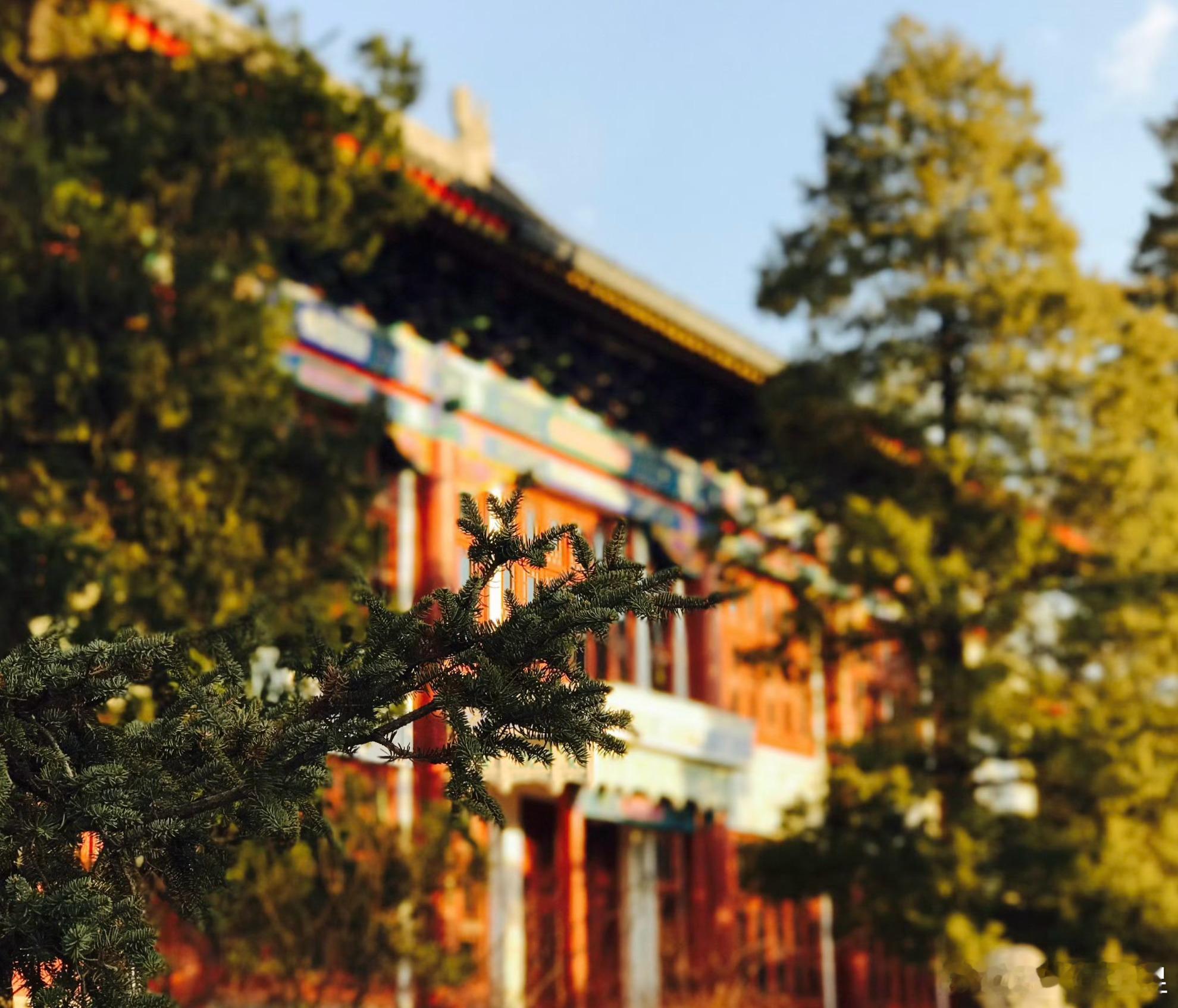 曾经，传播衫是北大新闻与传播学院的院衫。后来的我们，又重逢在了传播战线上。 ​​