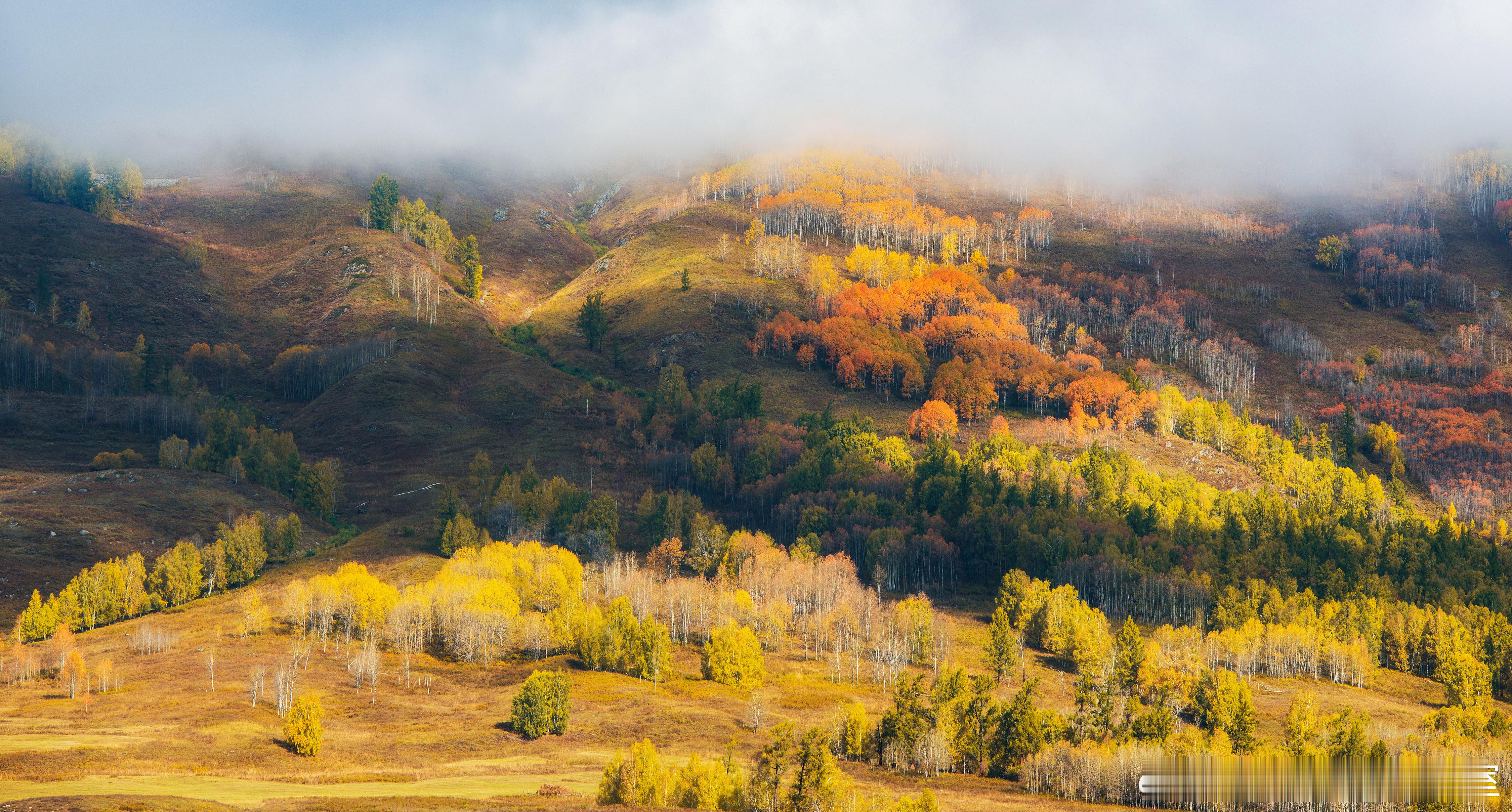 真正的金主LP把钱放在管理投资基金的GP之后是不是放任不管，随便让GP去乱投这些