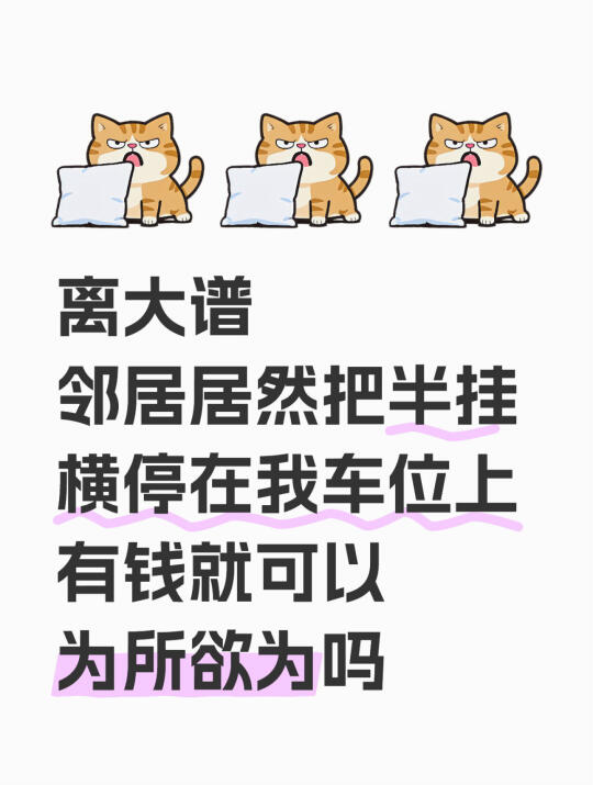 惊现没素质半挂