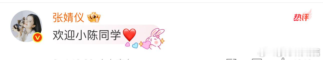 张婧仪文淇评论区互动张婧仪和文淇做同事了 张婧仪文琪评论区互动，做了同事更能常相