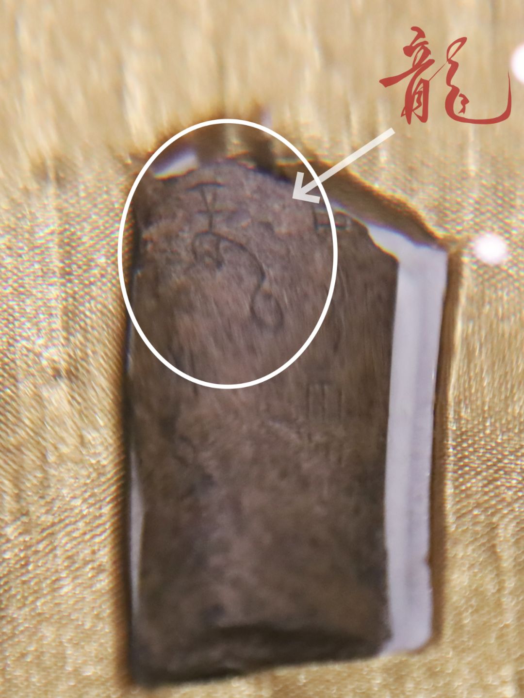 方寸之间的“龙”，实在是太小，首次目睹