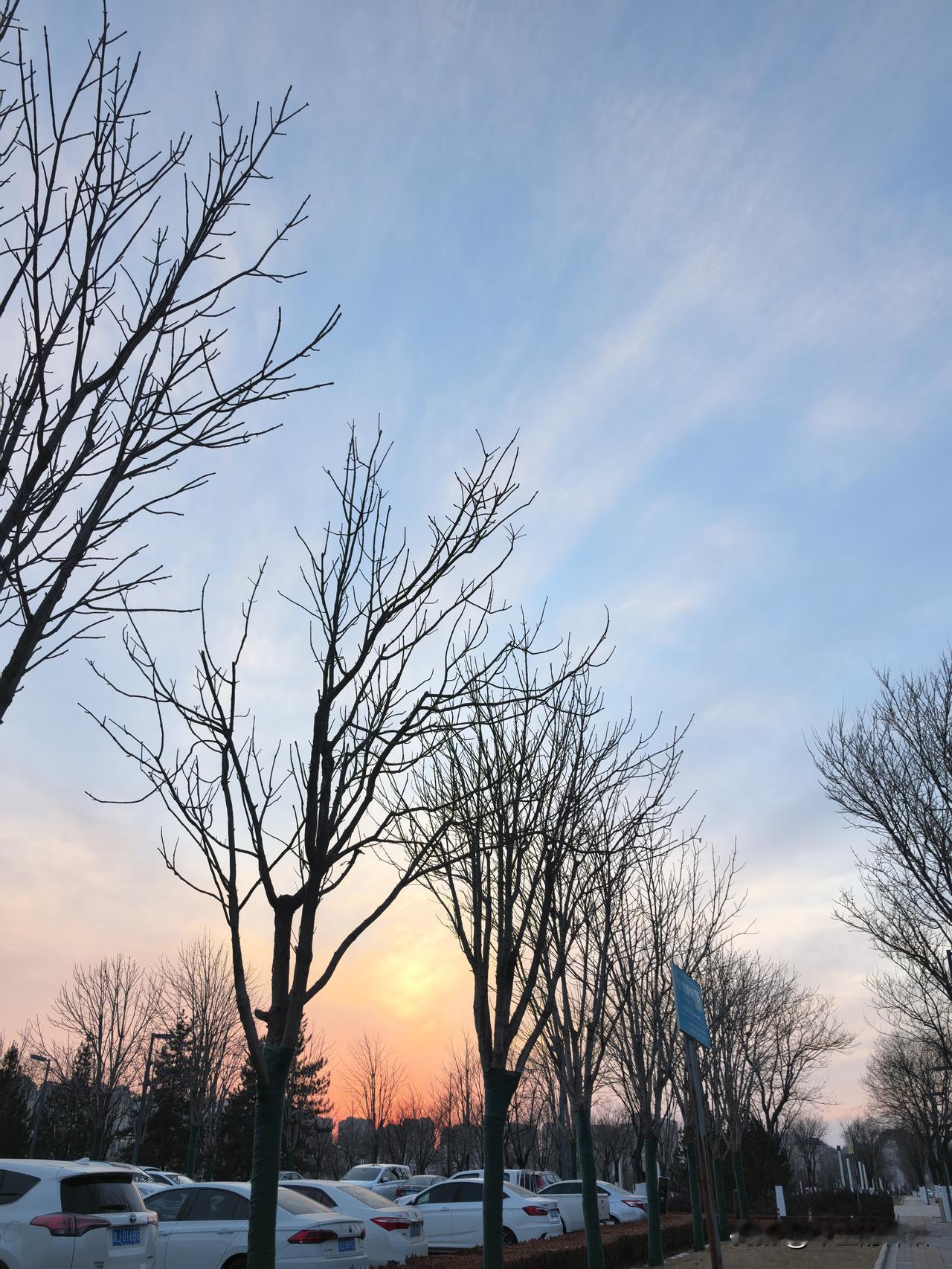 我在冬日里

斜阳漫步，日落余辉。
浸润天边，依依不舍。