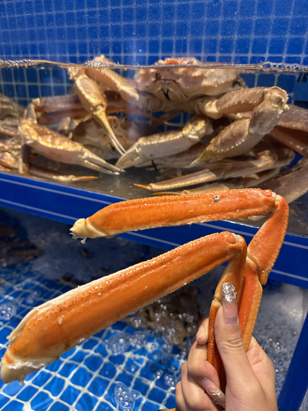 来西塔吃海鲜喽🦞我的胃跟着我可太享福了！