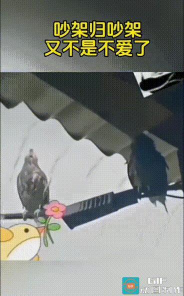 以物喻人，以鸟育人…
生活中的道理果然无处不在！
可我更想知道是：评论区里面的在