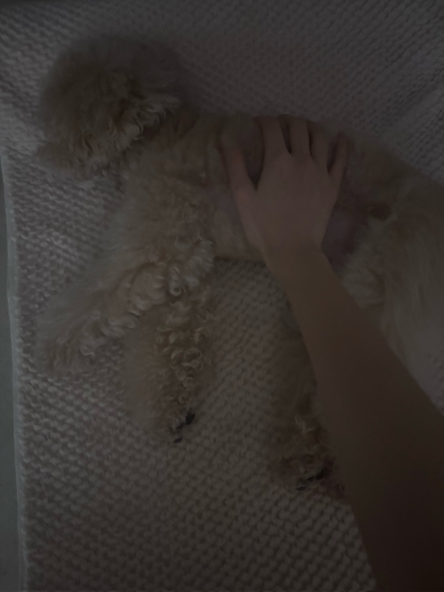 260207🫧姜惠元 🩵你周末过得愉快吗？ 