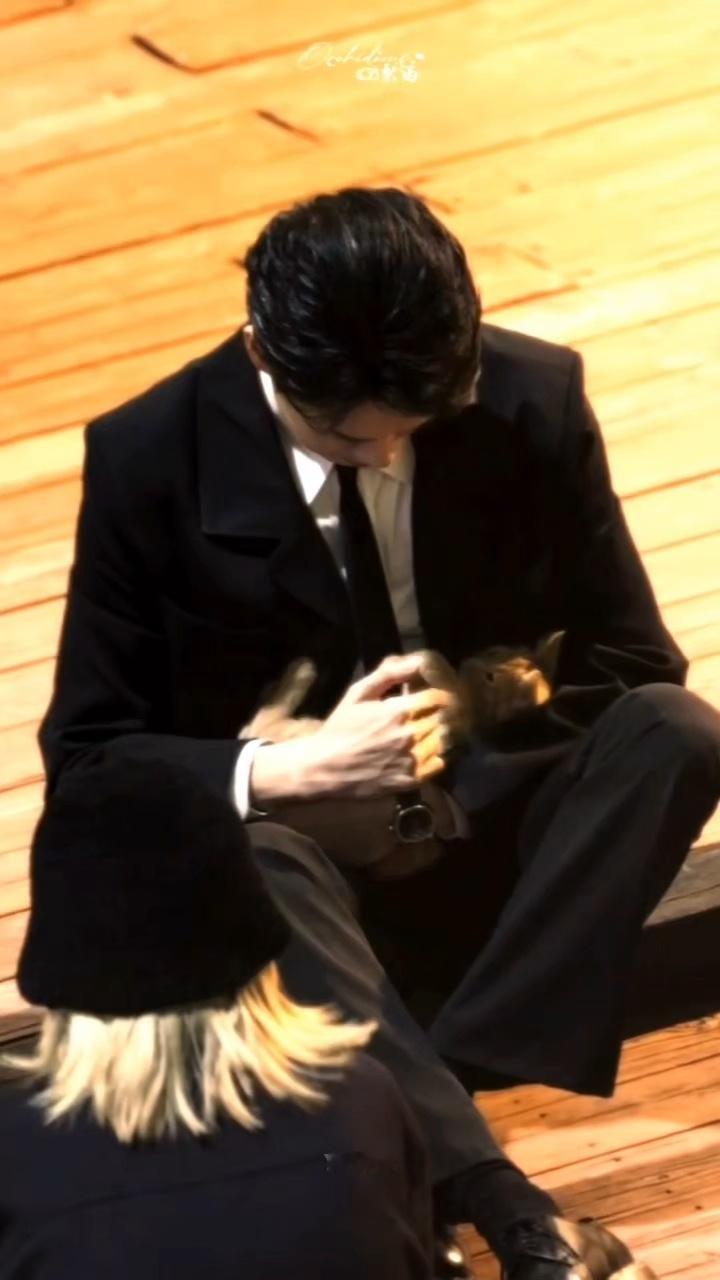 天...刷到魏大勋这个路透，心都化了谁懂西装革履的男人逗猫猫的温柔？？魏大勋 ​