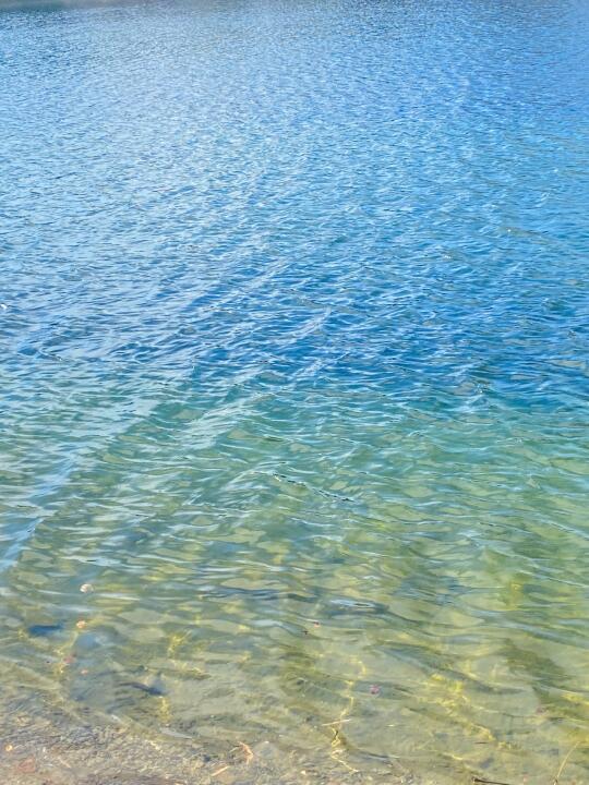 春分已分夏至未至阳气升腾时晦气消沉日