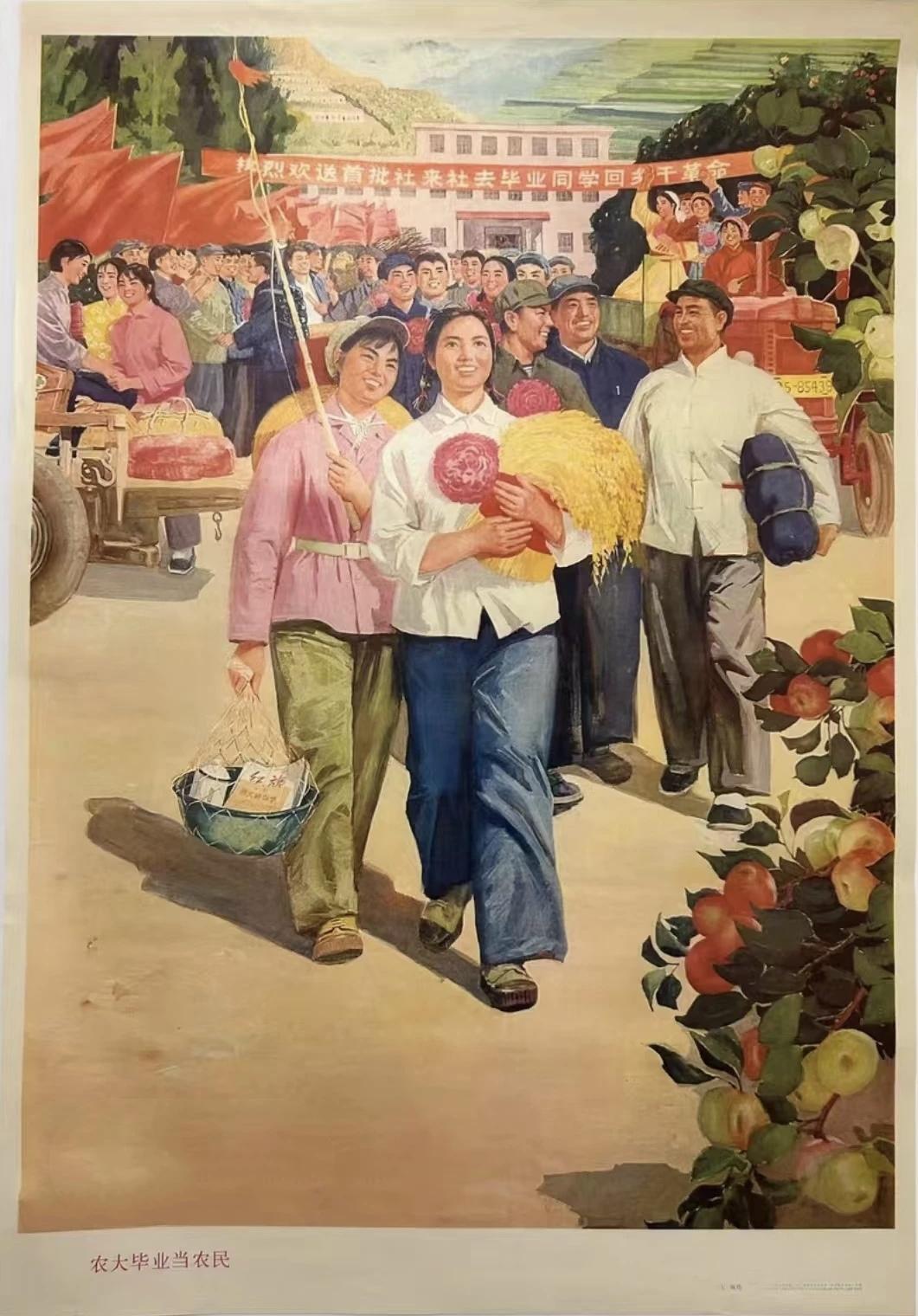 ＃红色文化＃
宣传画欣赏：
   《农大毕业当农民》