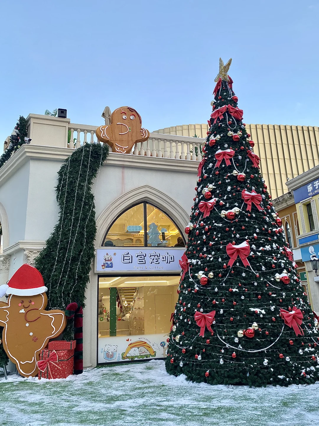 哇塞，小狗咖啡与圣诞树🎄 ，这个冬天必打卡