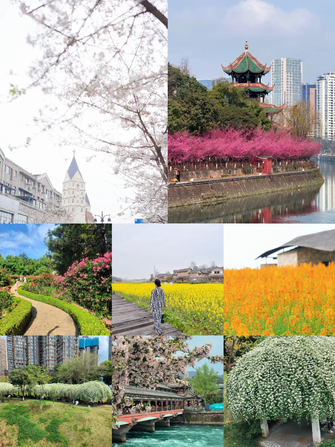 接下来的成都，是一万次的春和景明