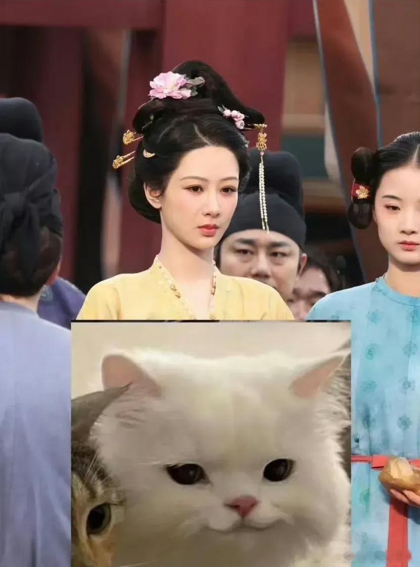 杨紫在《国色芳华》最新路透🈶️这不比看网游塑料的舒服多了吗…… ​​​