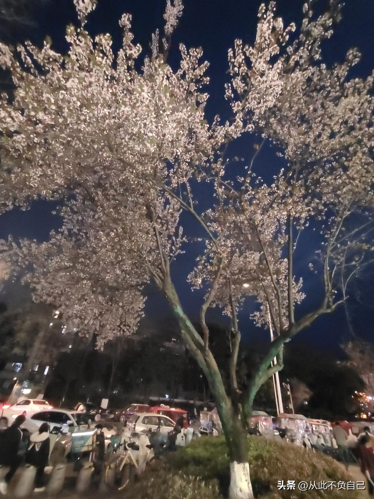 信了一辈子的佛，谁来渡你风烛残年的劫？
刚刚看到一篇头条，说的是一个女尼，年轻时