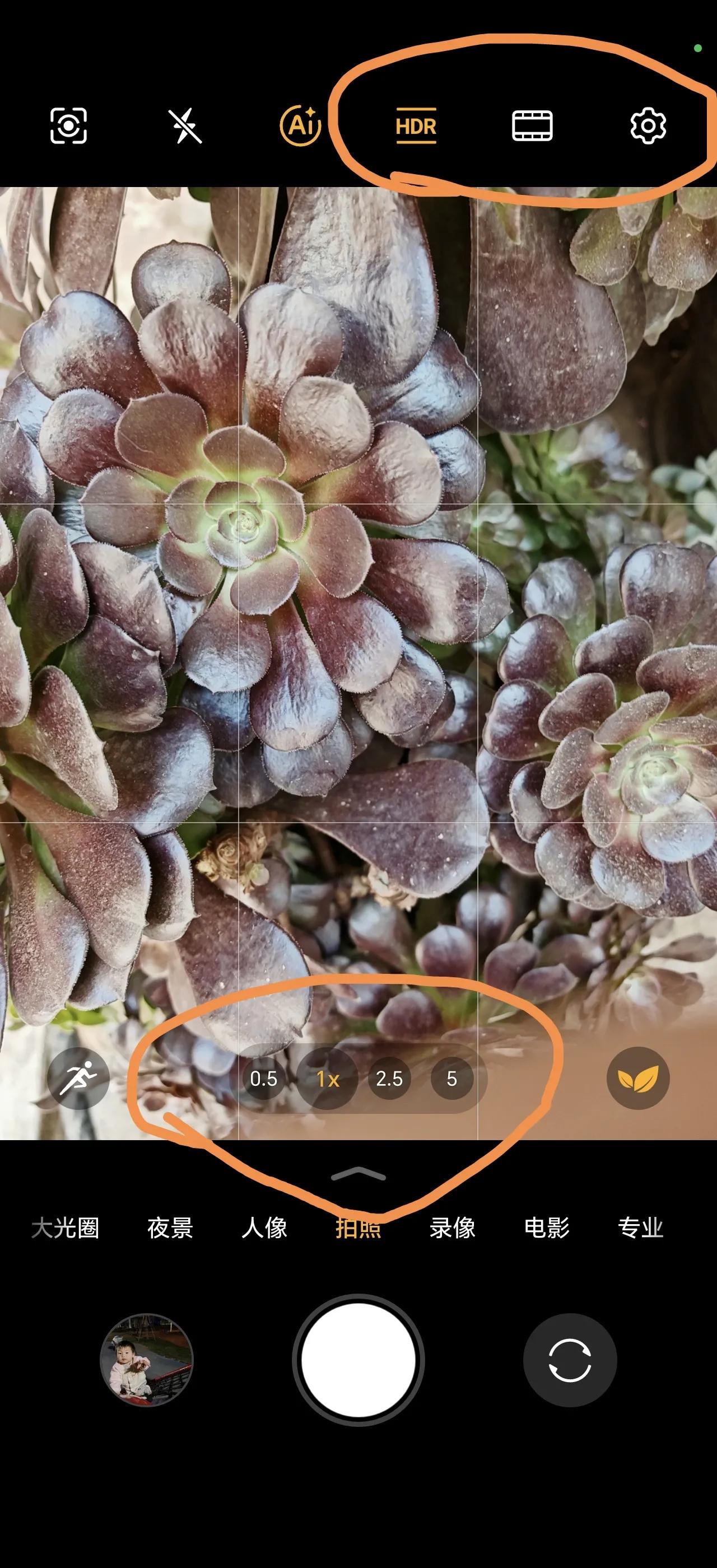 笑话了，请原谅我的无知。
原来荣耀Magic6 Pro的拍照滤镜是有的，图一拍照