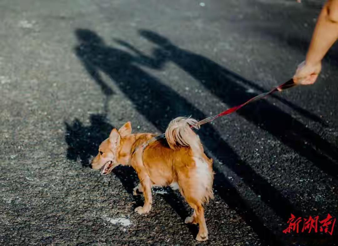 在这个看似平凡的家庭中，隐藏着一场令人心碎的悲剧。一个普通女子，或许和你我一样，