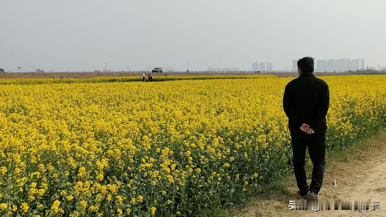 春暖花开，风景宜人，身临其境心情大好！把烦心事放下一会天塌不了，只要不耽误吃饭一