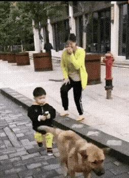 狗也是懂舞蹈的，应该是广场舞看多了。
