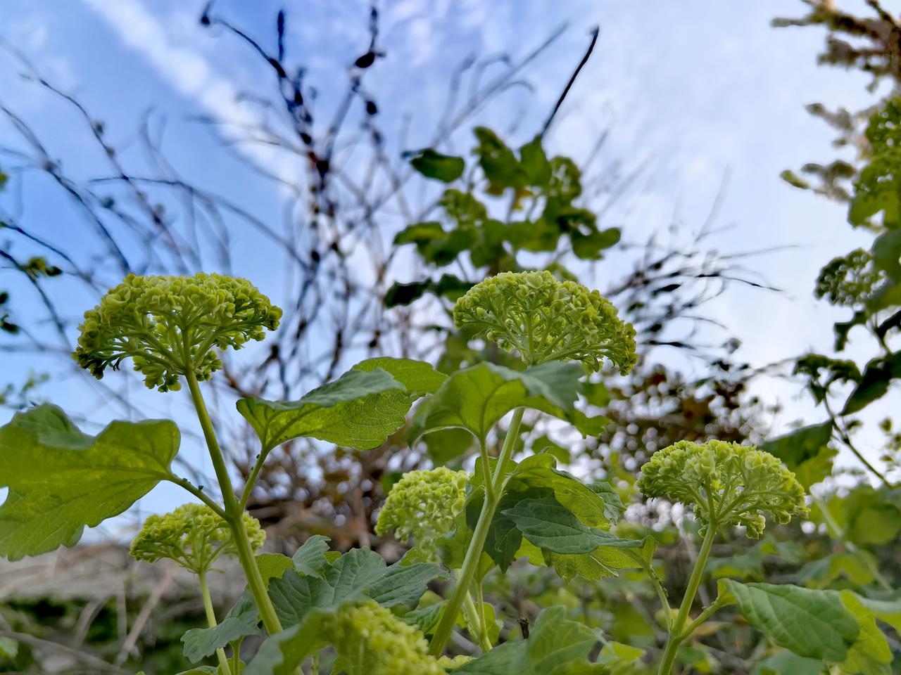 每日一图随手拍