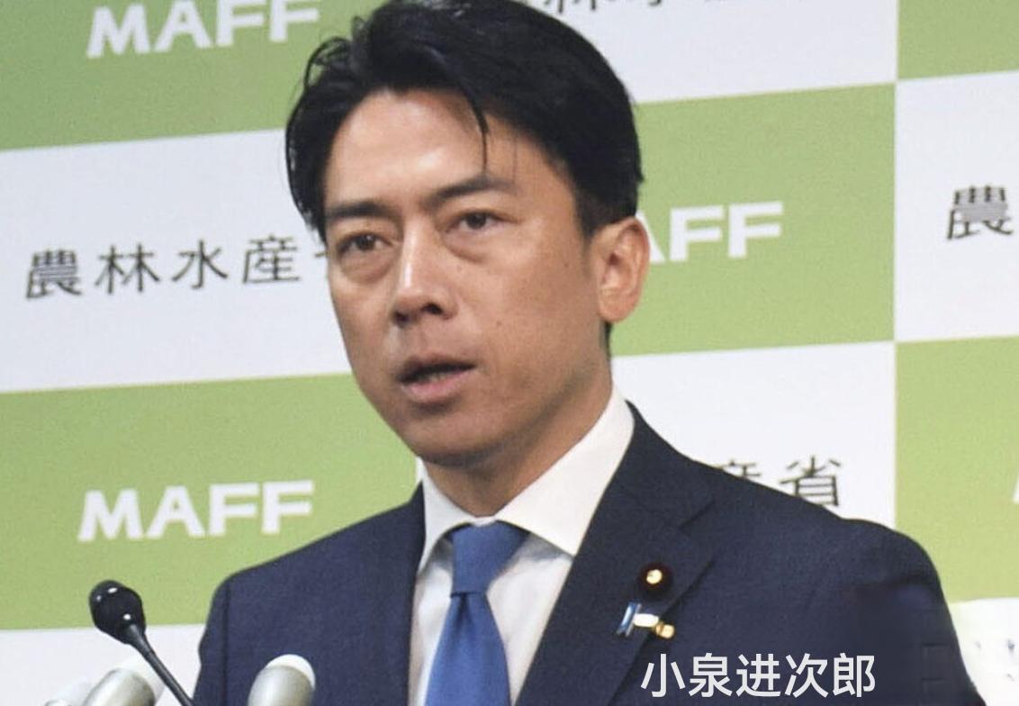 一边扛着“和平国家”的招牌粉饰太平，一边偷偷撬开武器出口的闸门，任由杀伤性武器流