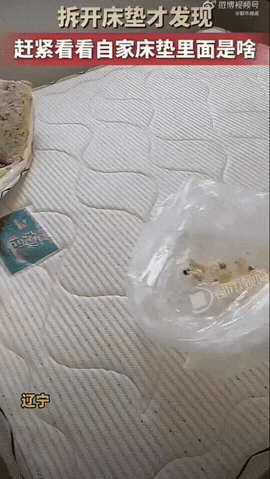 辽宁，一位业主家的床垫，外观平整完好，睡起来也没觉得不对劲。出于好奇把外套拆开一