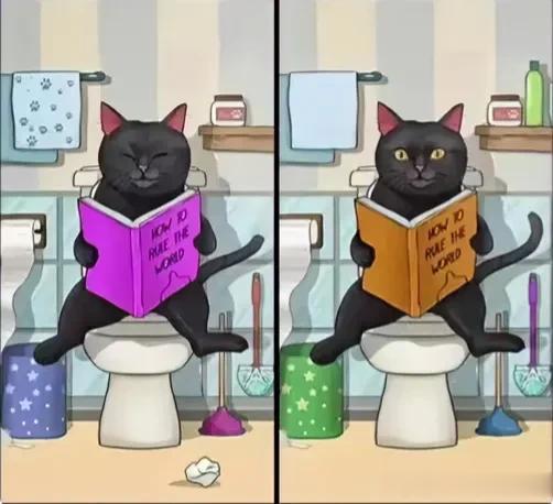 猫咪读书乐
考眼力10处不同能找到吗[灵光一闪]