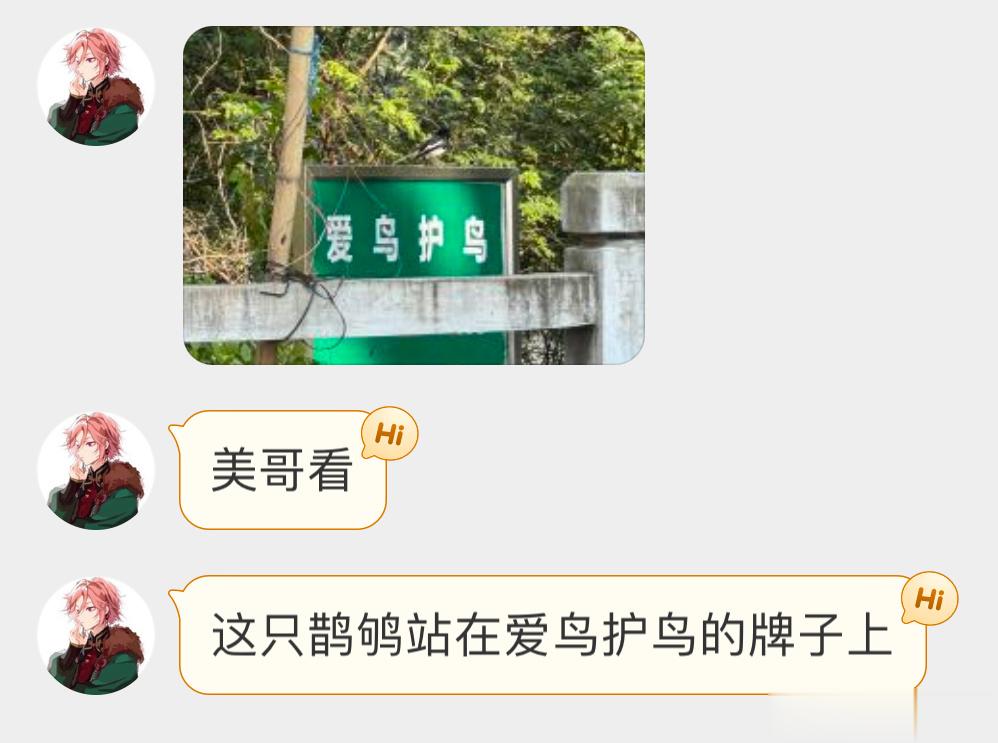 鹊鸲qú：都认识字吧？ ​​​
