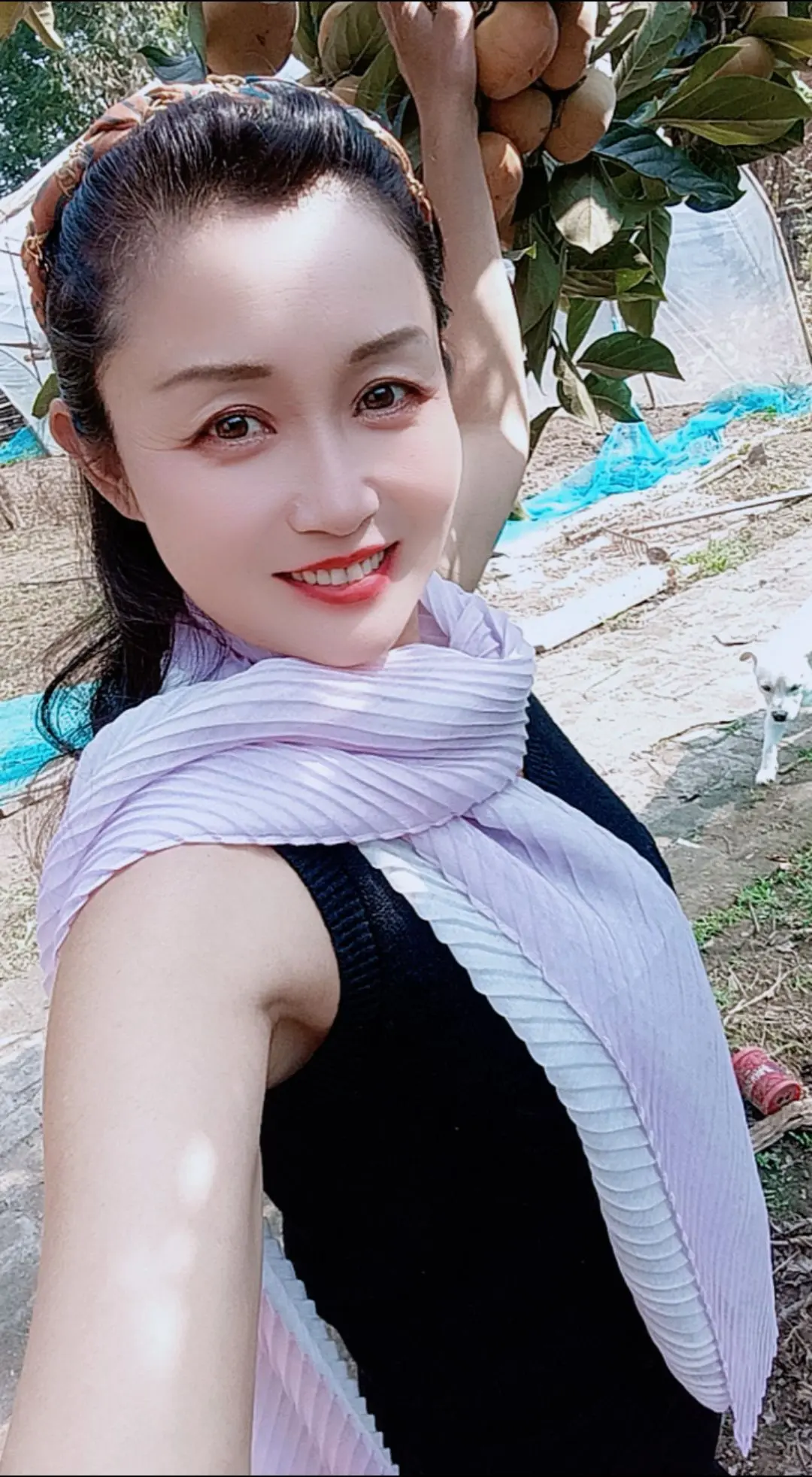 我忘不了你。