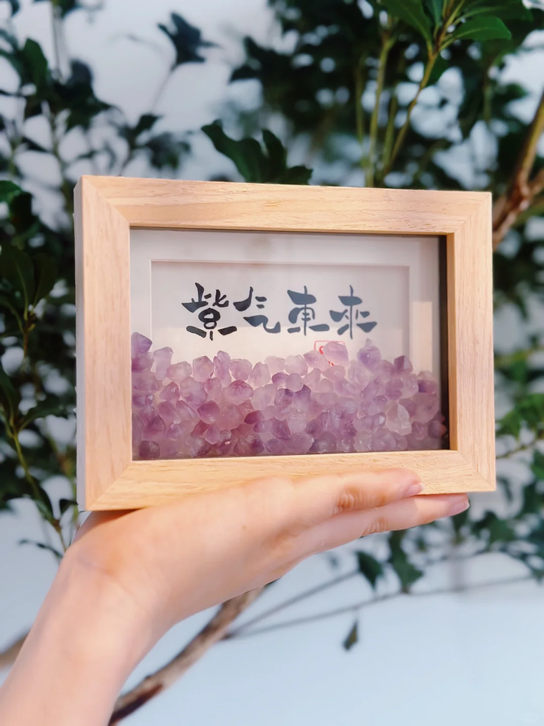 紫气东来！紫水晶🔮接九紫离火运