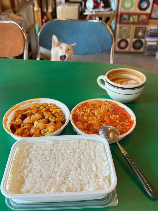 关于我的咖啡馆饭搭子（小虎外甥咪）