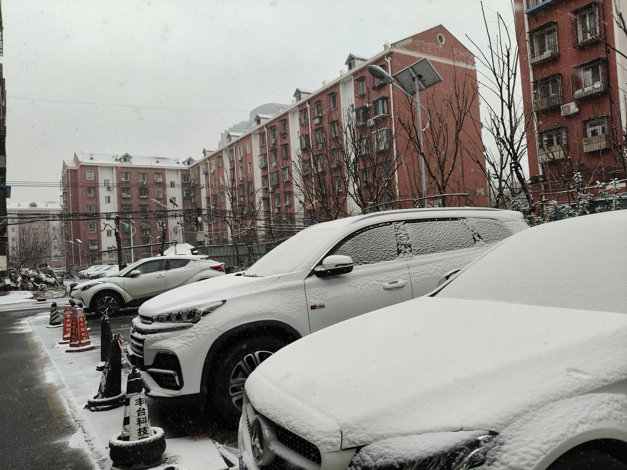 雪，北京的雪如约而至
清晨，零零星星地飘落
中午，纷纷扬扬地洒下
落在衣裳上
瞬