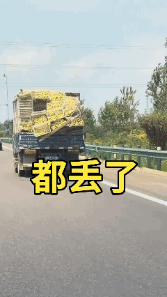 不管不顾的还开呢[泣不成声]